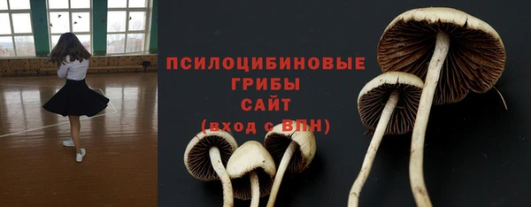 амф Пролетарск