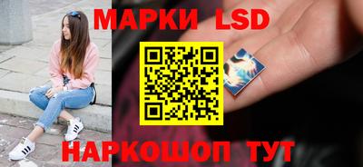 винт Дмитров
