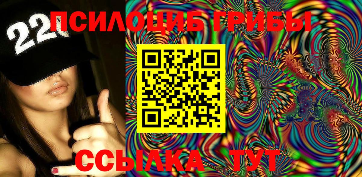 Галлюциногенные грибы Psilocybe  Псилоцибиновые грибы мицелий  Канск  Вход с VPN 